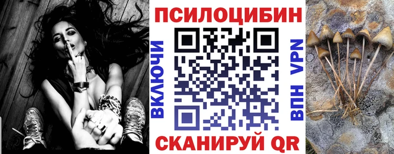 нарко площадка Telegram  Тавда  Галлюциногенные грибы мицелий 