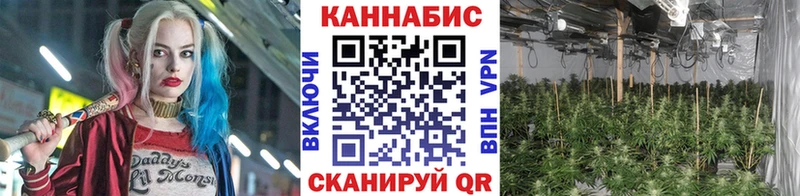 цена наркотик Тавда Каннабис Bruce Banner